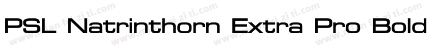 PSL Natrinthorn Extra Pro Bold Ital字体转换